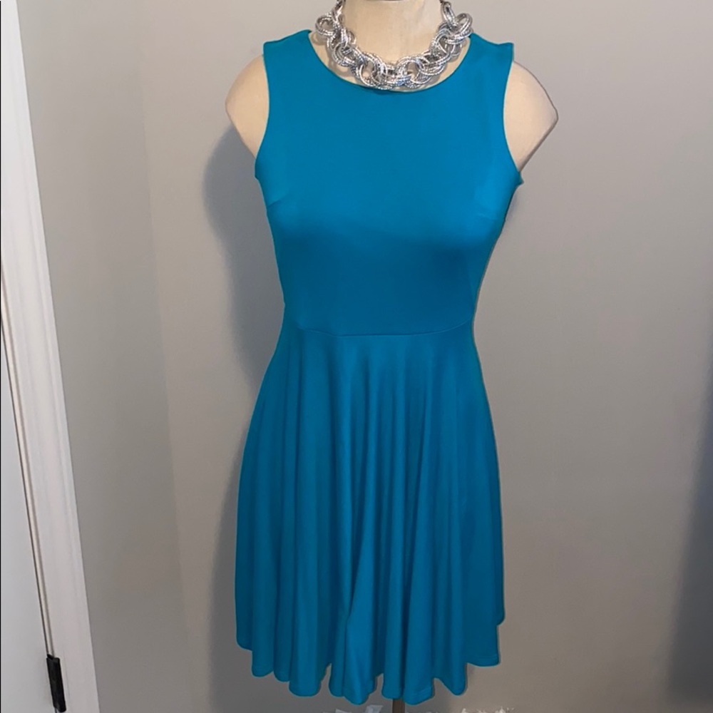 New York& Company S Aline Dress